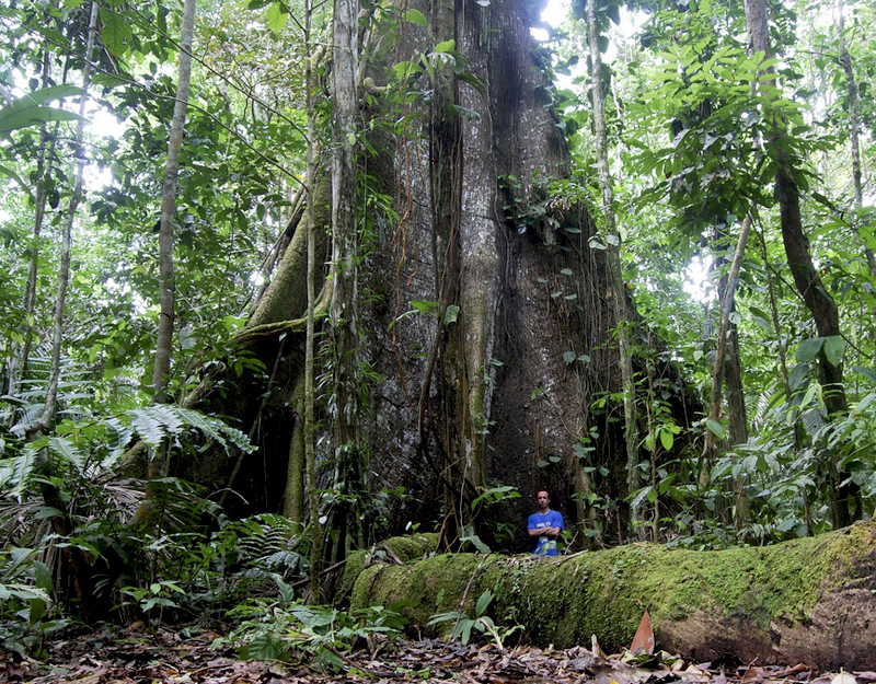 Amazonía Perú Apu Victor